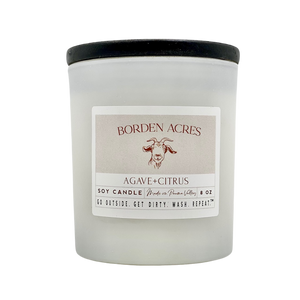 Agave + Citrus Candle